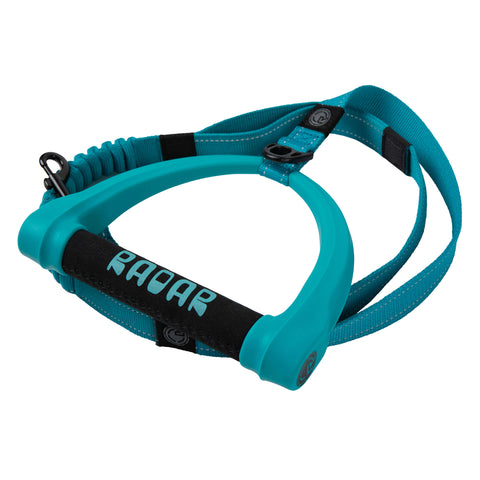 Radar 5ft Bungee Dog Leash