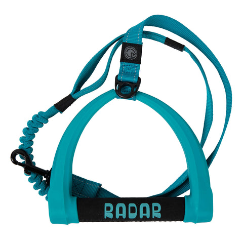 Radar 5ft Bungee Dog Leash