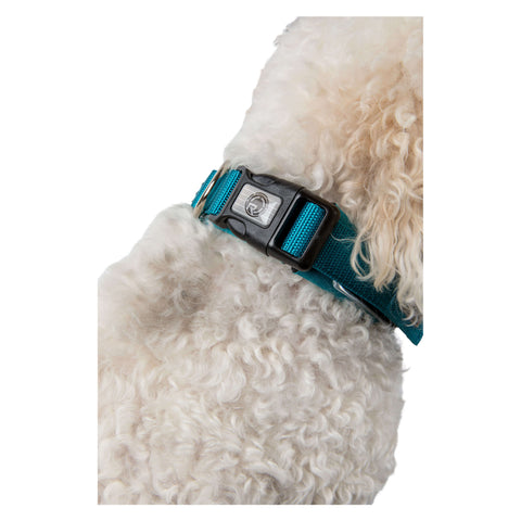 Radar Dog Collar