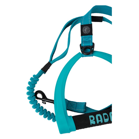 Radar 5ft Bungee Dog Leash